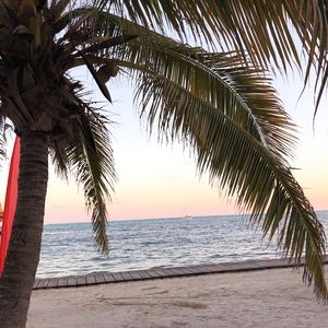 Meet your Posher, Amelia